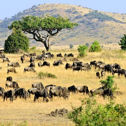 Voyage au Kenya - Découverte en Slow Travel