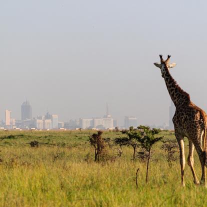 Voyage au Kenya - Lune de miel d'exception