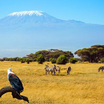 Voyage au Kenya - Lune de miel d'exception