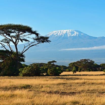 Circuit au Kenya - Camping en réserves privées