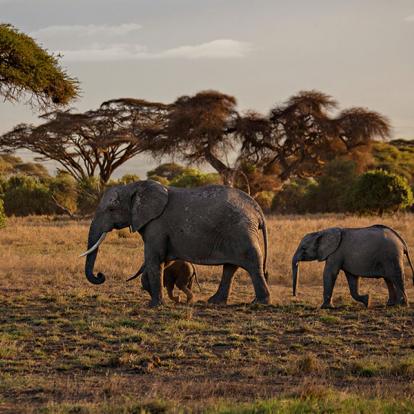 Voyage au Kenya - Camping en réserves privées