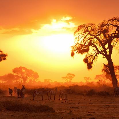 Circuit au Kenya - Camping en réserves privées