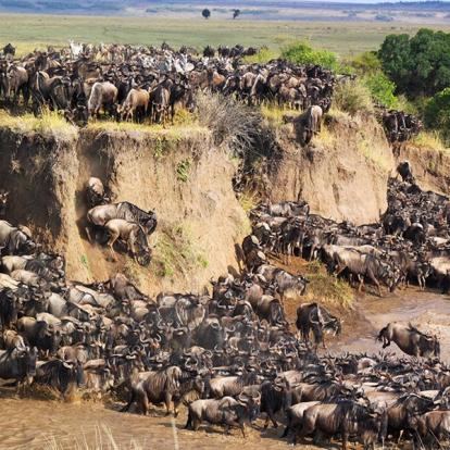 Voyage au Kenya - Safari d'exception