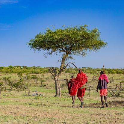 Voyage au Kenya - Les plus beaux parcs du Kenya