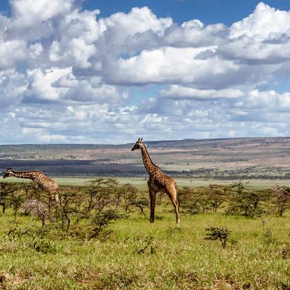 Voyage au Kenya - Les plus beaux parcs du Kenya