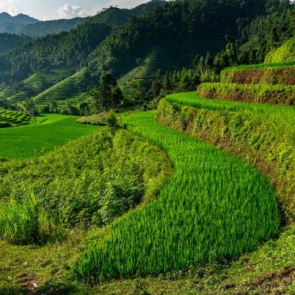 Voyage au Vietnam - Grande Découverte en 20 Jours