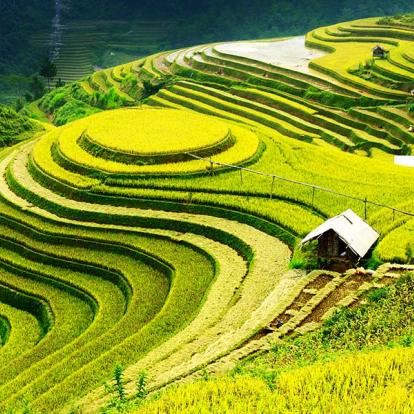 Voyage au Vietnam - Du Nord au Sud