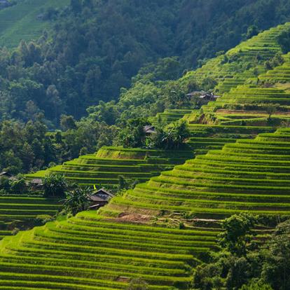 Voyage au Vietnam - L'Essentiel du Vietnam et du Cambodge