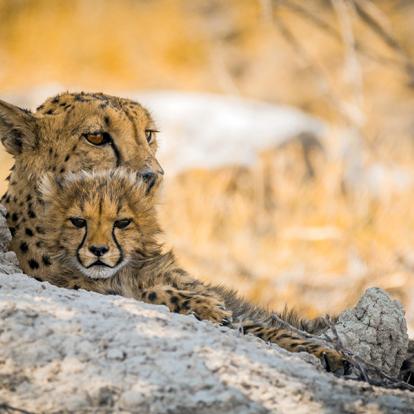 Voyage en Namibie - Incontournable Namibie en Lodges