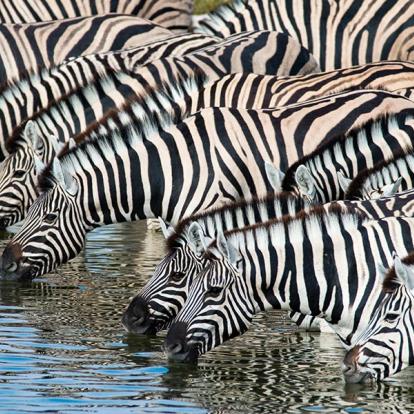 Circuit en Namibie - Incontournable Namibie en Lodges