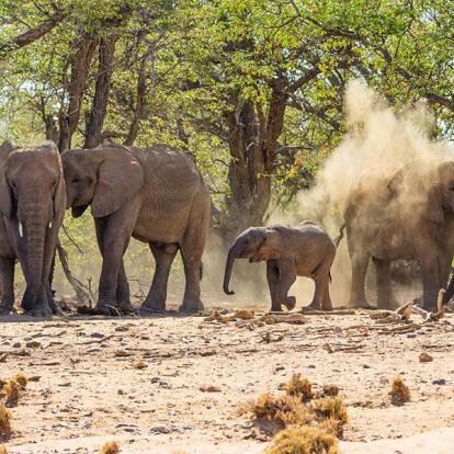 Circuit en Namibie - Incontournable Namibie en Lodges