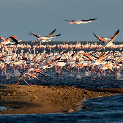 Circuit en Namibie - Incontournable Namibie en Lodges