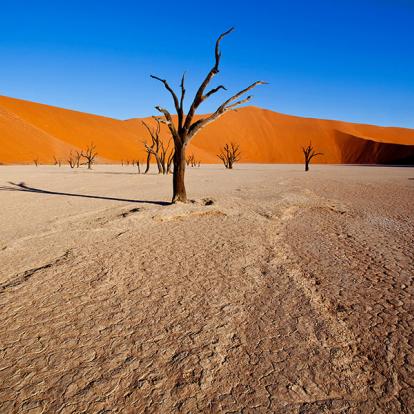 Voyage en Namibie - Du Namib aux Chutes Victoria