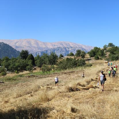 Voyage au Liban - Nomades au Liban