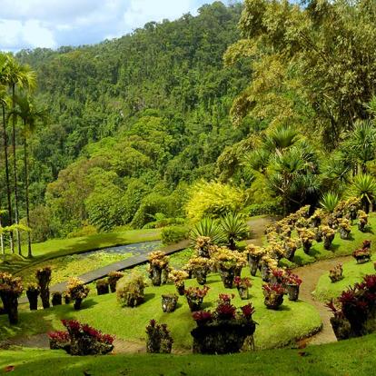 Circuit en Martinique - Les plus belles traces de Madinina