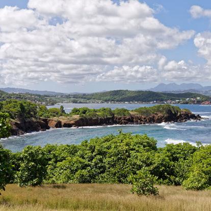 Voyage en Martinique - Les plus belles traces de Madinina
