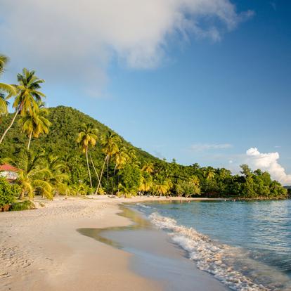 Voyage en Martinique - Itinérance authentique