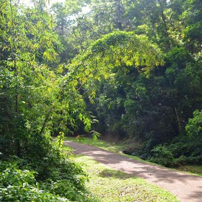 Voyage en Martinique - Escapade Martiniquaise en tribu