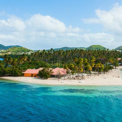 Voyage en Martinique - Aventure ethnique et authentique au cœur des caraïbes