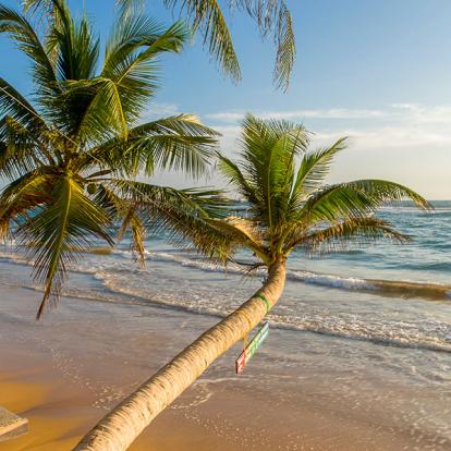 Combiné Martinique et Guadeloupe - Charme et Magie Créole