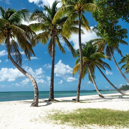 Combiné Martinique et Guadeloupe - Charme et Magie Créole
