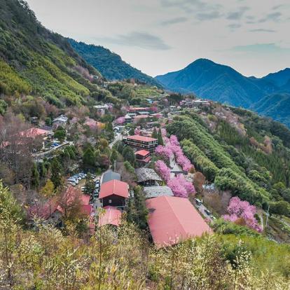 Voyage à Taïwan - Terres aborigènes sur le toit de Taiwan
