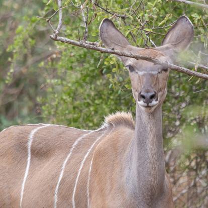 Voyage en Angola - Traversée Entre Désert et Océan