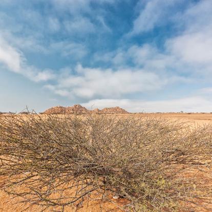 Circuit en Angola - Traversée Entre Désert et Océan