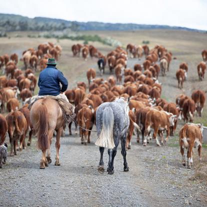 Voyage en Argentine - Vis ma vie de Gaucho