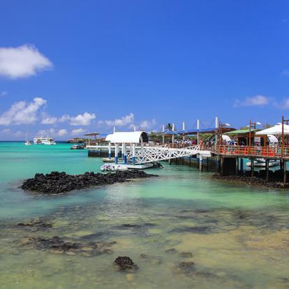 Voyage en Equateur- Dans les pas de Charles Darwin aux Galapagos
