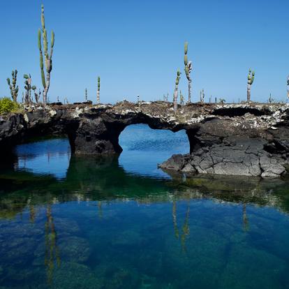 Circuit en Equateur- Dans les pas de Charles Darwin aux Galapagos