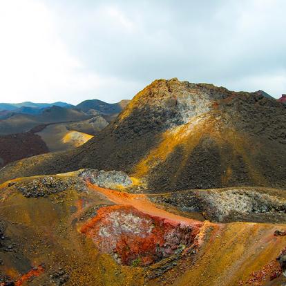 Voyage en Equateur- Dans les pas de Charles Darwin aux Galapagos
