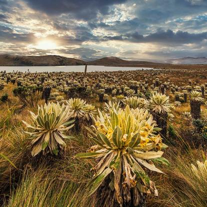 Circuit en Equateur - Terre de Contraste, Nature et Biodiversité