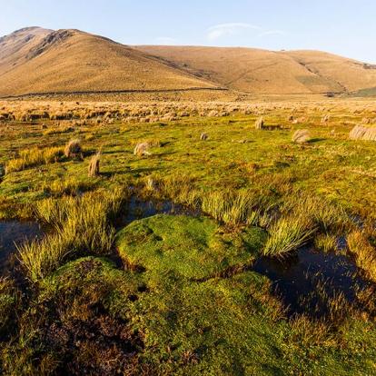 Voyage en Equateur - Terre de Contraste, Nature et Biodiversité
