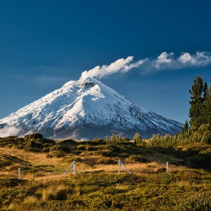 Voyage en Equateur - Terre de Contraste, Nature et Biodiversité