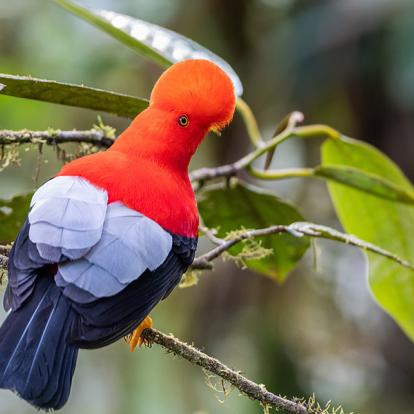 Circuit en Equateur - Terre de Contraste, Nature et Biodiversité