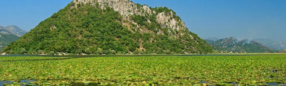 Parc national du Lac de Skadar