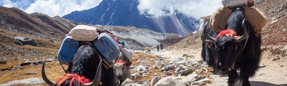 Parc National de Sagarmatha