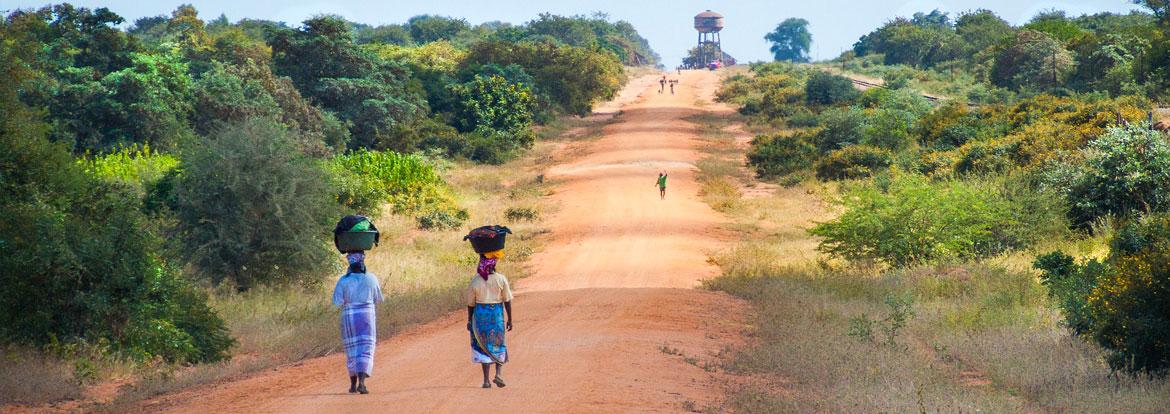 Mozambique Guide de Voyage - Mozambique