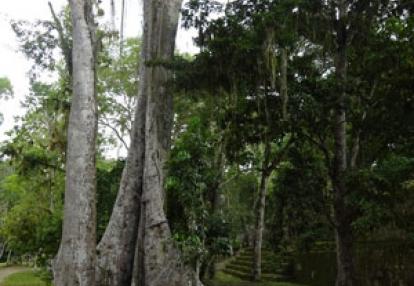 ©Christian B. - Tous Droits réservés Voyage au Guatemala de Christian B.