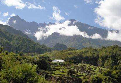 ©François D. - Tous Droits réservés Voyage à la Réunion de la Famille de François