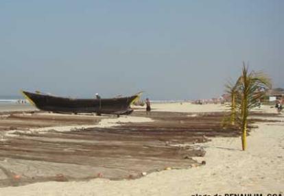 Pêcheur à Marari Beach contrôlant les sardines mises à griller au soleil Benaulim - Goa