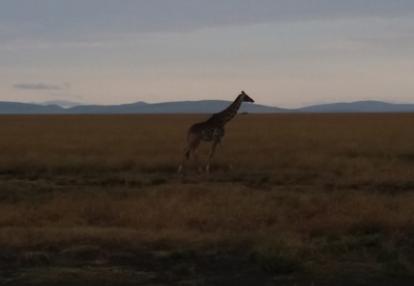 ©Magali G. - Tous Droits réservés Voyage au Kenya de la Famille de Magali