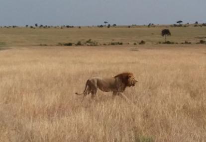©Magali G. - Tous Droits réservés Voyage au Kenya de la Famille de Magali