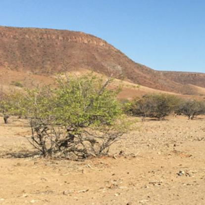 ©Bruno T. - Tous Droits réservés Voyage en Namibie du Groupe d'amis de Bruno
