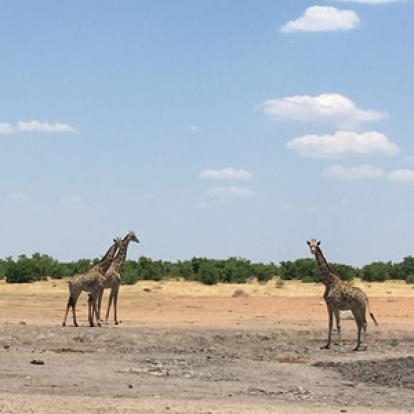©Bruno T. - Tous Droits réservés Voyage en Namibie du Groupe d'amis de Bruno
