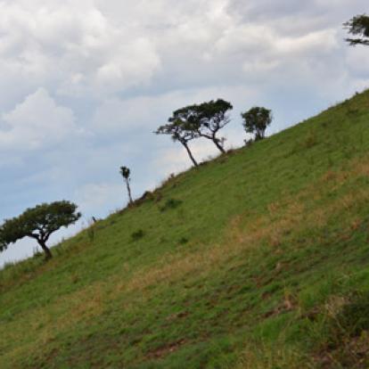 ©Selma H. - Tous Droits réservés Voyage au Rwanda de la Famille de Sylvain S.