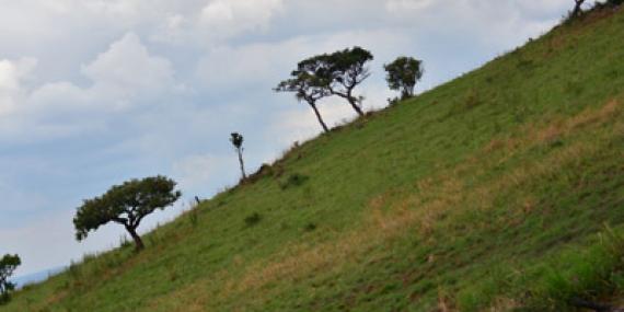©Selma H. - Tous Droits réservés Voyage au Rwanda de la Famille de Sylvain S.