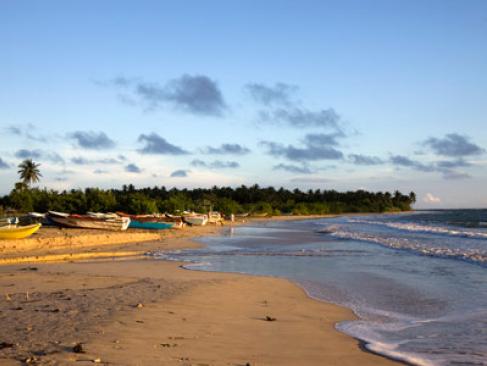 Guide De Voyage Du Sri Lanka Les Plages De Lest Le