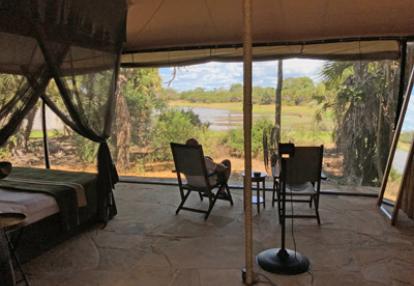 ©René D. - Tous Droits réservés safari en Tanzanie de René